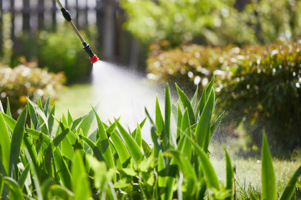 24/7 Emergency Wasp Removal experts in Footville, WI