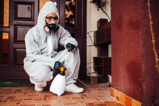 Reliable Wasp Removal contractor in Footville, WI by Show Me Pest Control