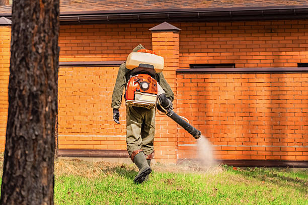 Top rated local Wasp Removal specialists in Footville, WI